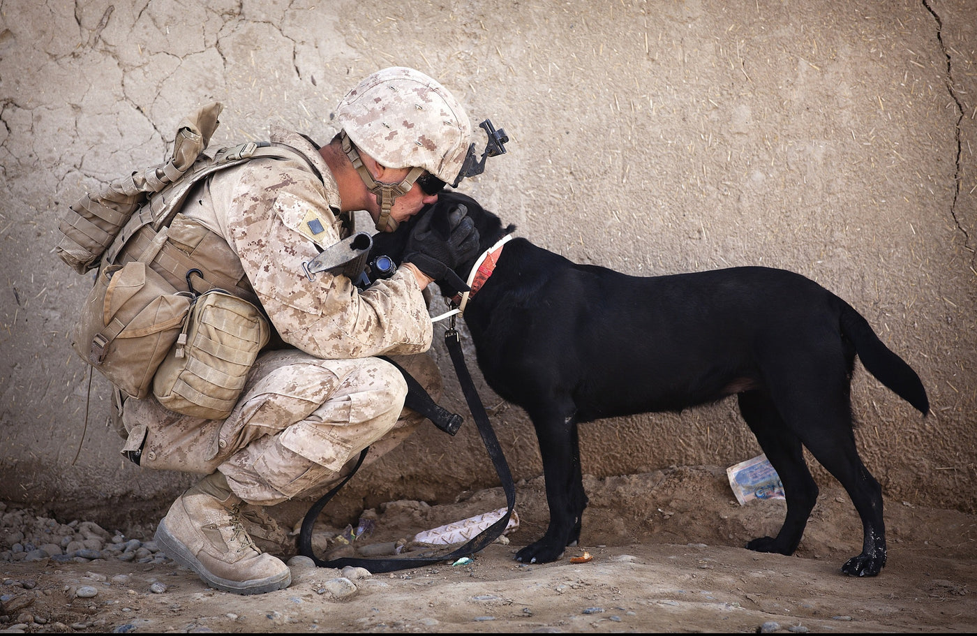 U.S. soldier squatting down to kiss black Laborador Retriever dog.